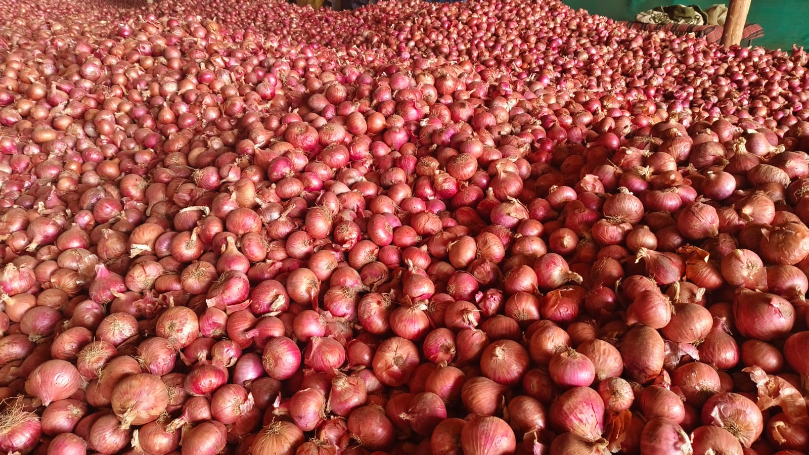 WhatsApp Image 2025-06-27 at 12.27.03 PM (1).jpeg